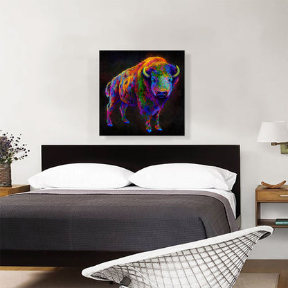 American Bison Buffalo Animal