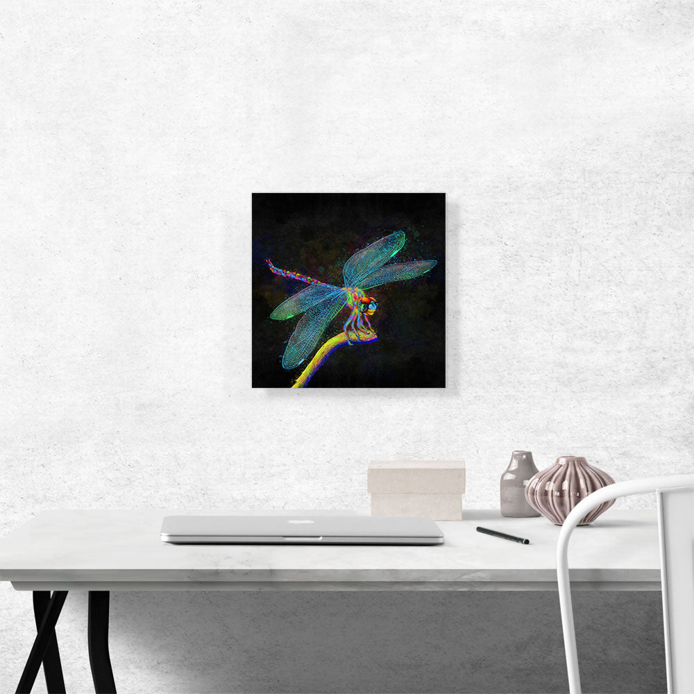 Dragonfly Insect
