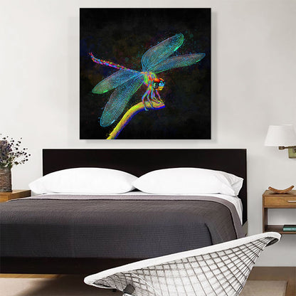 Dragonfly Insect