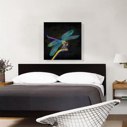 Dragonfly Insect