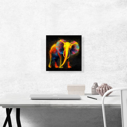 Elephant African Asian