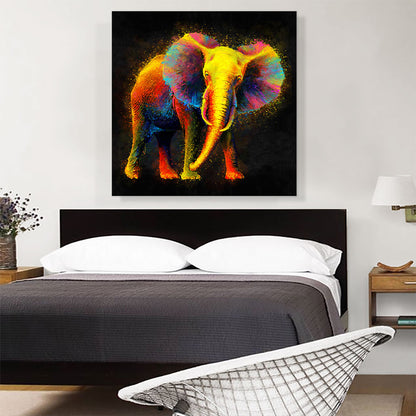 Elephant African Asian