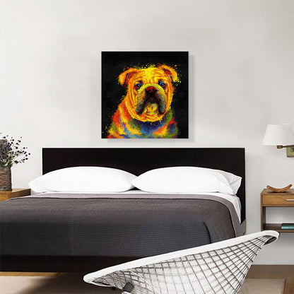 English Bulldog English Dog