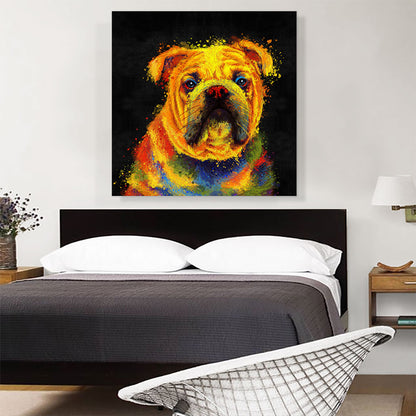 English Bulldog English Dog