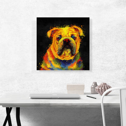 English Bulldog English Dog
