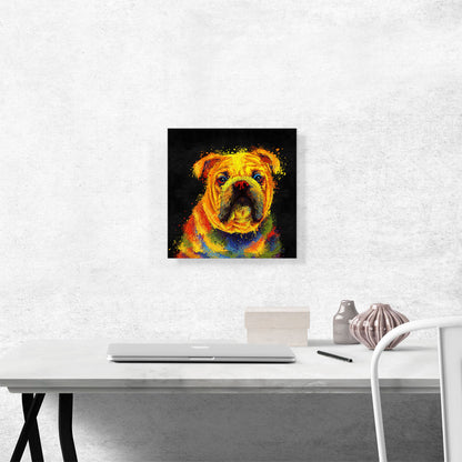 English Bulldog English Dog