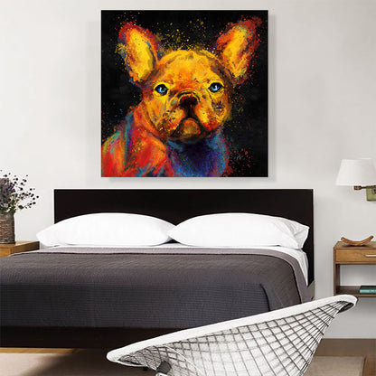French Bulldog Dog