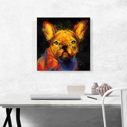 French Bulldog Dog