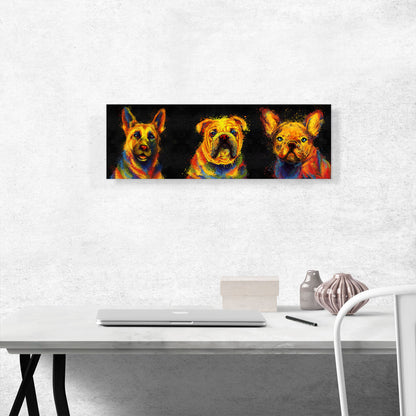 German Shepherd French English Bulldog Dog