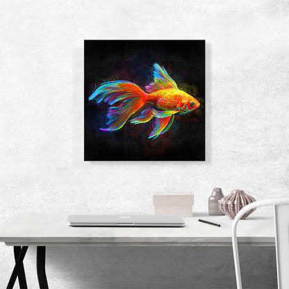 Goldfish Freshwater Aquarium Fish