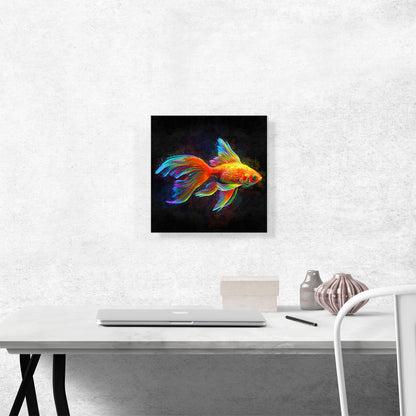 Goldfish Freshwater Aquarium Fish