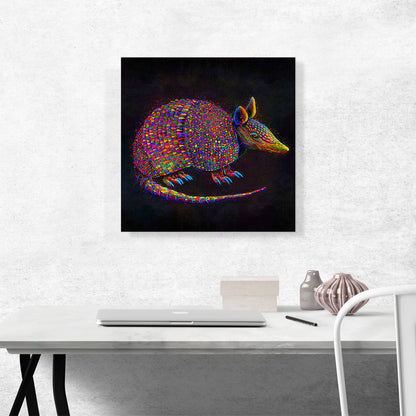 Armadillo