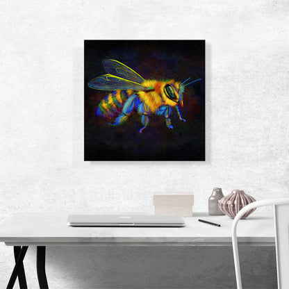 Honey Bumble Bee Insect