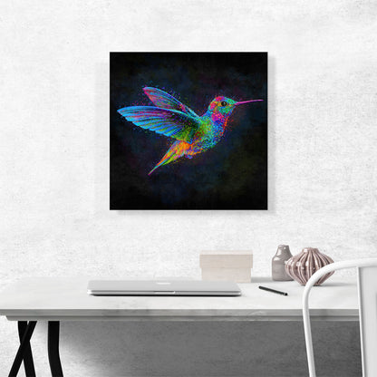Hummingbird Small Bird in Flight