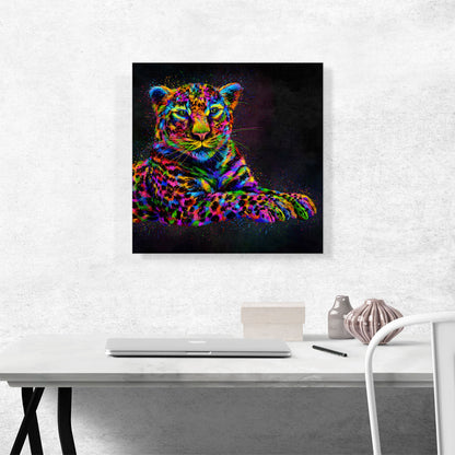 Jaguar Cat Animal