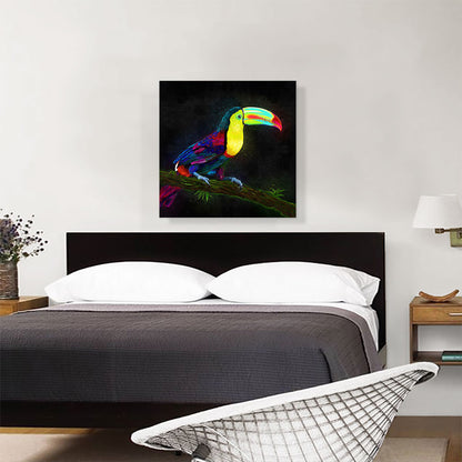 Keel Billed Toucan Latin American Belize Bird on Branch