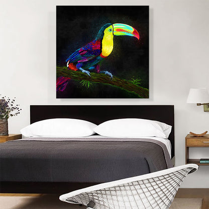 Keel Billed Toucan Latin American Belize Bird on Branch