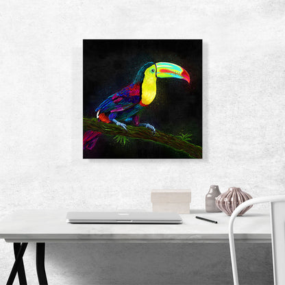 Keel Billed Toucan Latin American Belize Bird on Branch
