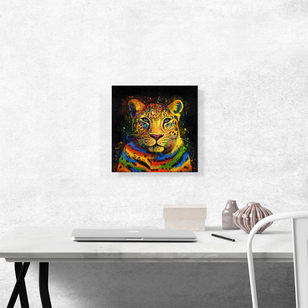 Leopard Africa Cat