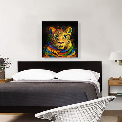 Leopard Africa Cat