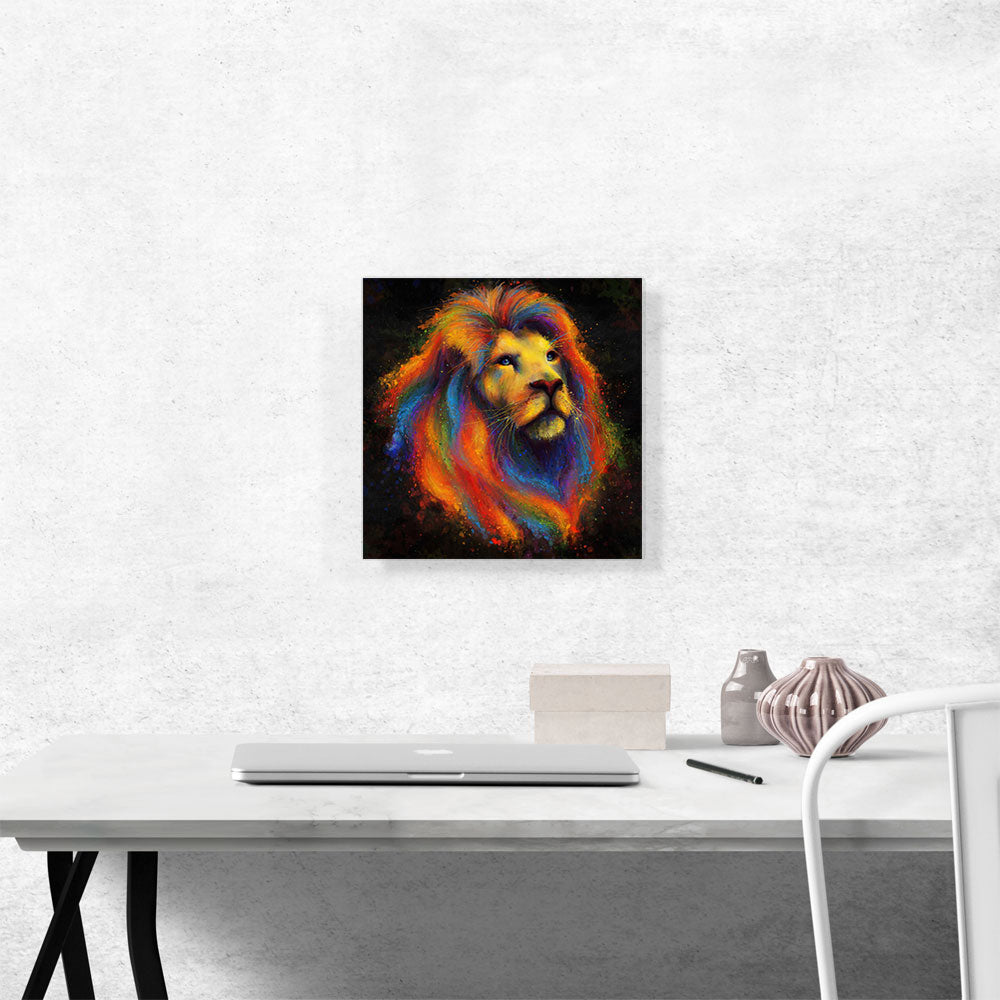 Lion Cat Africa King of Jungle