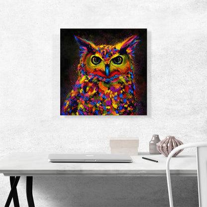Owl Nocturnal Bird of Prey Barn