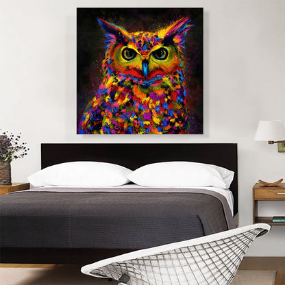 Owl Nocturnal Bird of Prey Barn