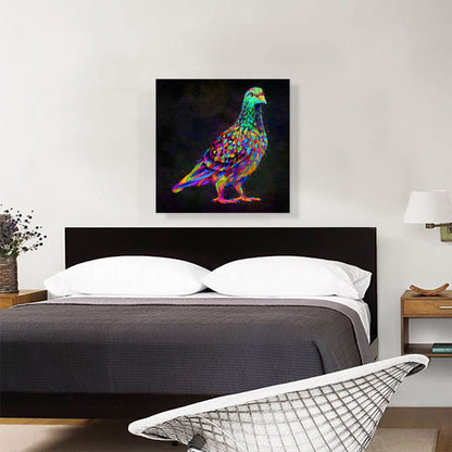 Pigeon Dove Bird