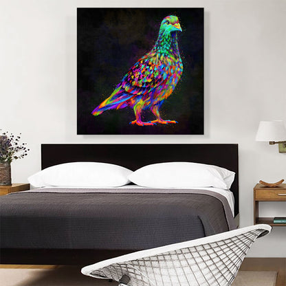 Pigeon Dove Bird