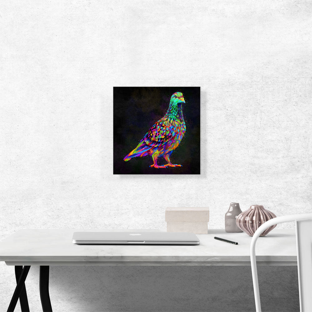 Pigeon Dove Bird