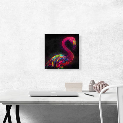 Pink Flamingo Animal