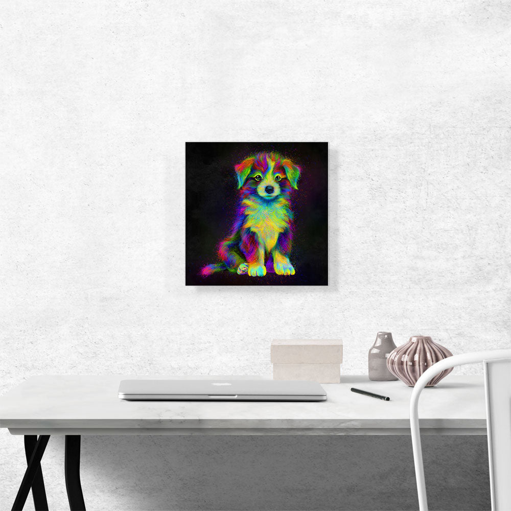 Puppy Cute Dog