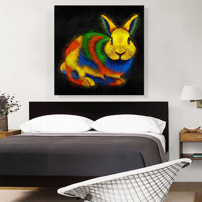 Rabbit Bunny Animal