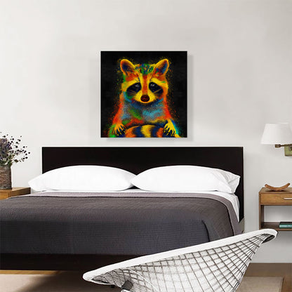 Raccoon Racoon Animal