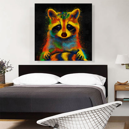 Raccoon Racoon Animal