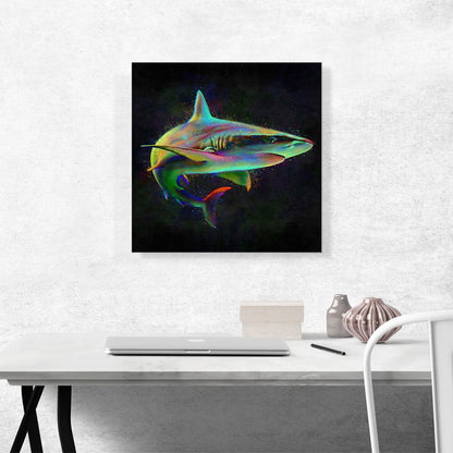 Shark Fish Shortfin Mako Tiger Ocean Sea