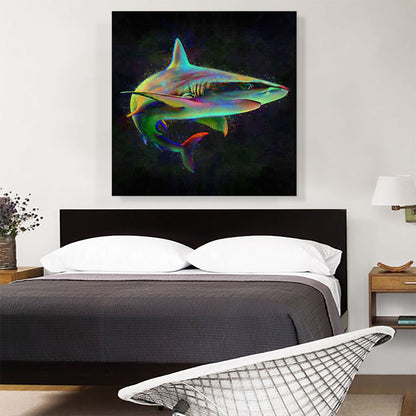 Shark Fish Shortfin Mako Tiger Ocean Sea