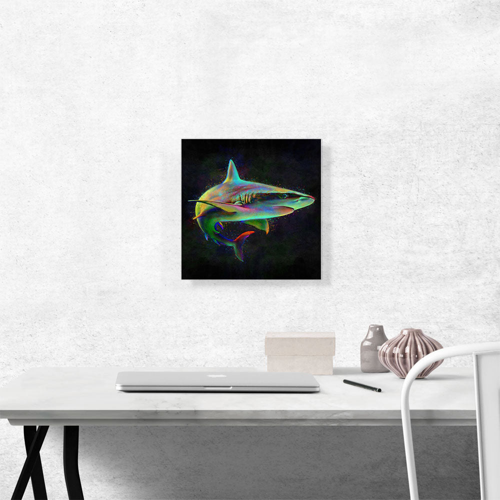 Shark Fish Shortfin Mako Tiger Ocean Sea