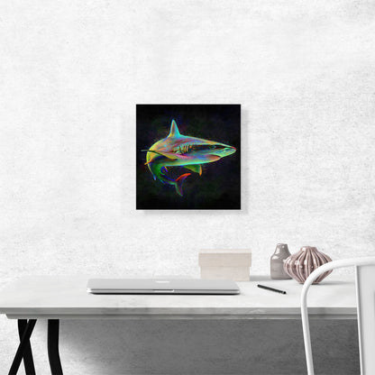 Shark Fish Shortfin Mako Tiger Ocean Sea