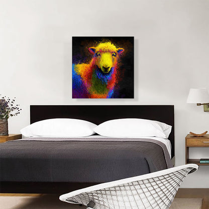 Sheep Livestock Animal