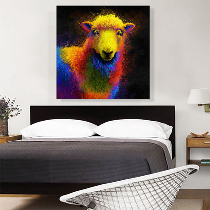 Sheep Livestock Animal