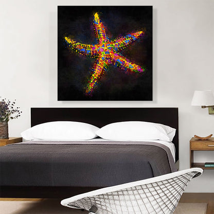 Starfish Sea Ocean