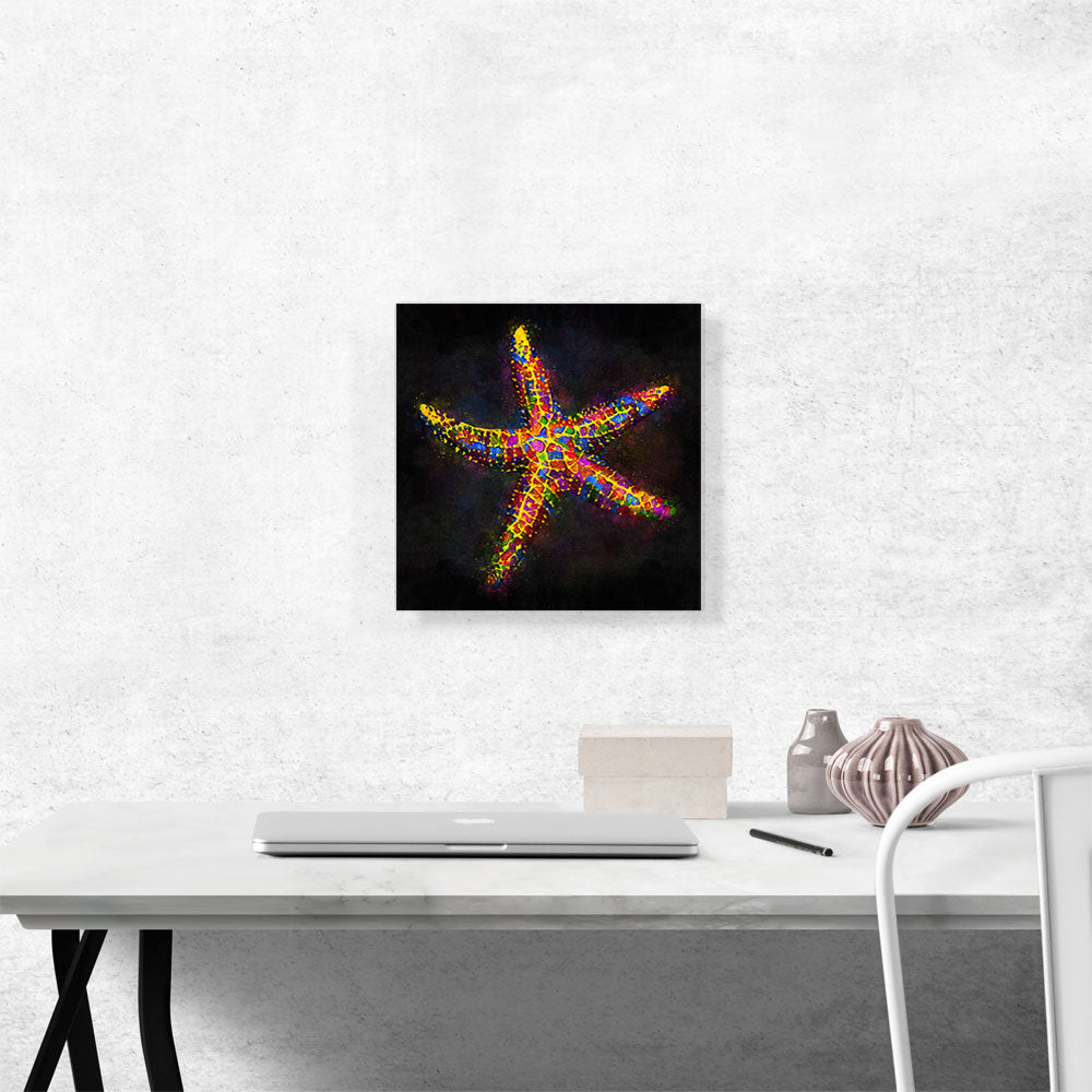 Starfish Sea Ocean