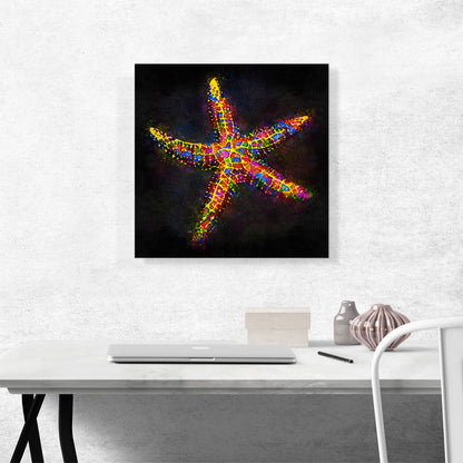 Starfish Sea Ocean