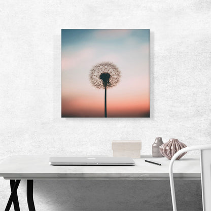 Dandelion Pink Blue Sky Photo