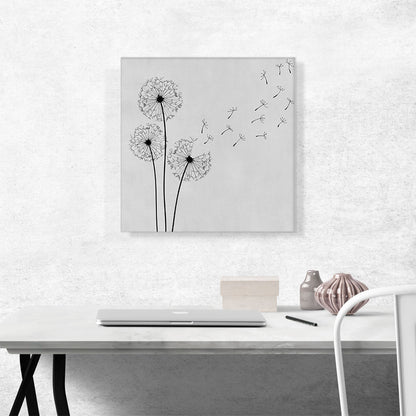 Dandelion Plant Flower Gray Black Square