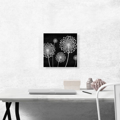 Dandelion Black and White Square