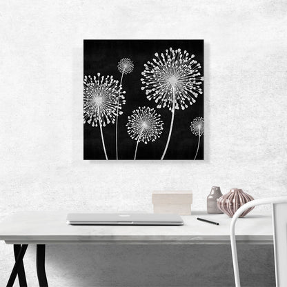 Dandelion Black and White Square