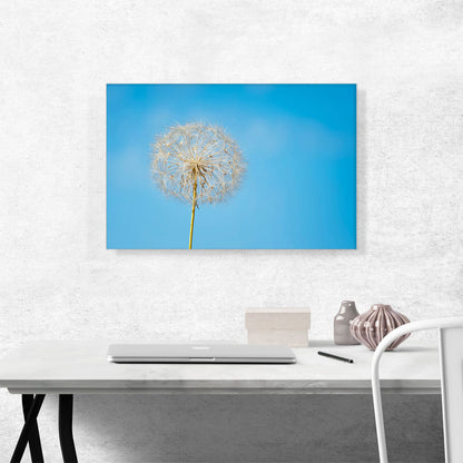 Dandelion Blue Sky Photo Rectangle