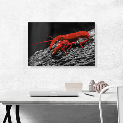 Red Lobster In The Ocean